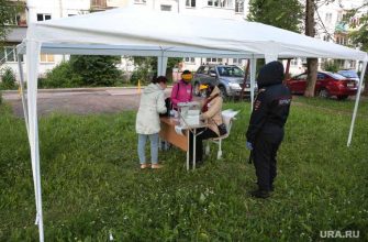 Общероссийское голосование Пермь
