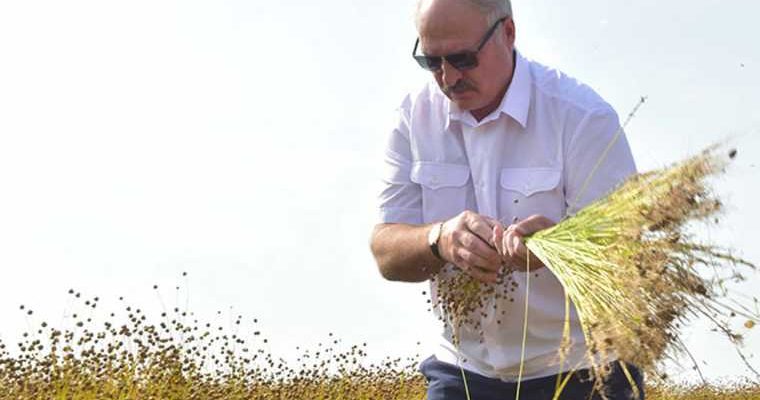 коронавирус Белоруссия Александр Лукашенко