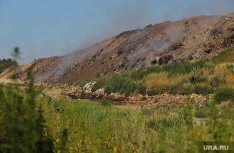 администрация Кургана