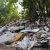 В Кургане нашли незаконную свалку с отходами птицефабрики. Жители задыхаются