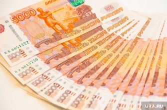 декларация 2019 год