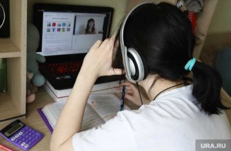 новости Курганской области