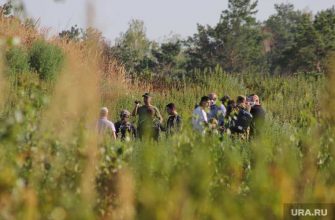 опасные отходы