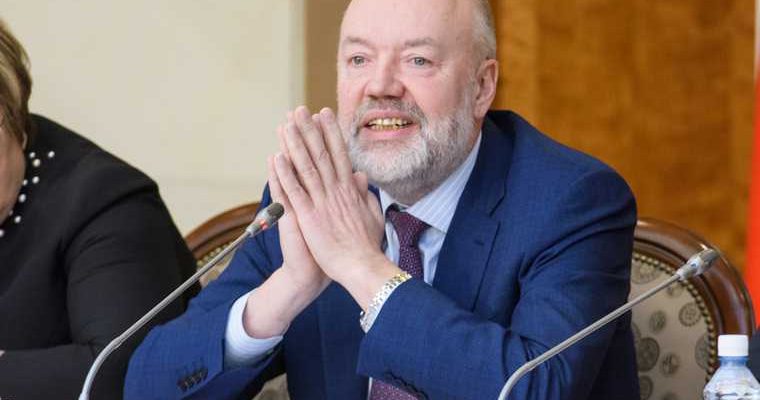 Павел Крашенинников разработка конституции