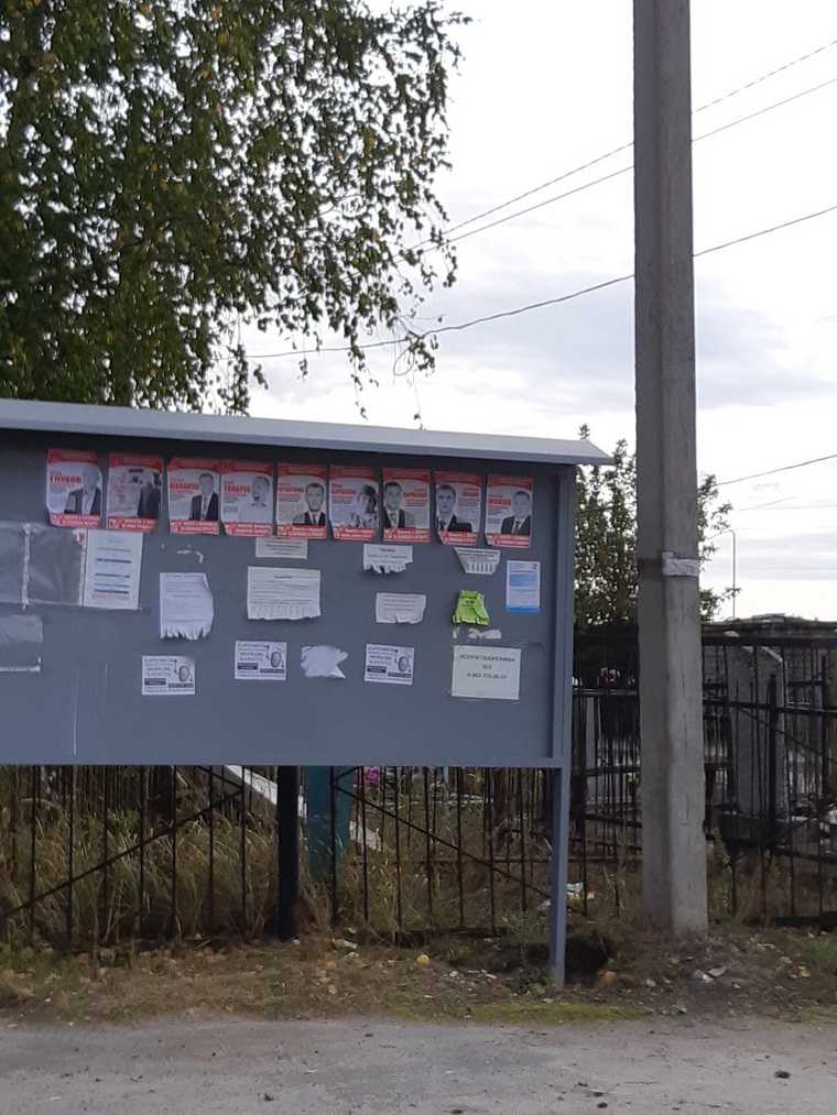Тюменцев возмутила предвыборная агитация на кладбище. ФОТО