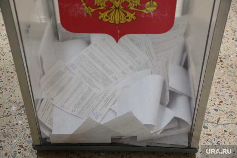 глава поселения Костромская область уборщица выборы