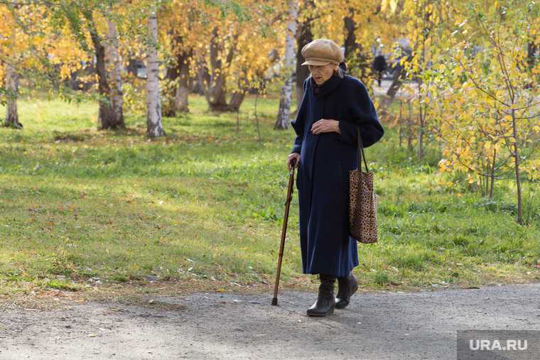 пандемия Курган