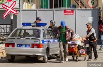 проблемы азербайджанцы торговцы урал екатеринбург 4-я овощебаза