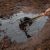 Прокуратура оправдала нефтяников, разливших нефть в реку в ЯНАО