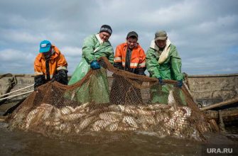 ЯНАО соблюдение трудовых прав рыбопромысловые предприятия