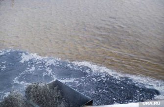 новости янао