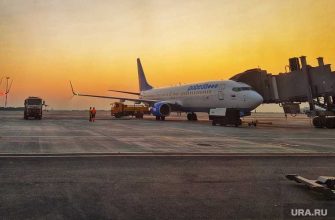 сирия наемники