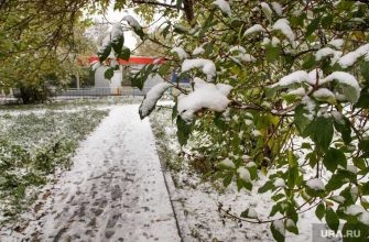 когда пойдет первый снег