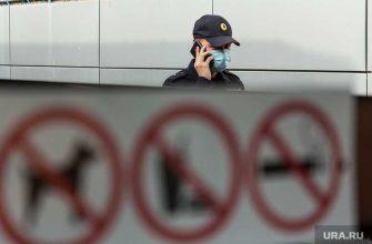 омбанули мошенники что делать