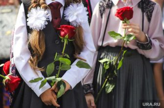 Псковская область школьники потеряли сознание линейка