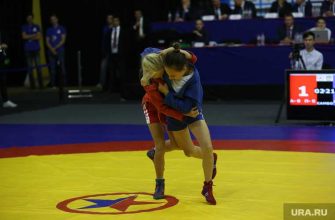 шоу Сергея Минаева