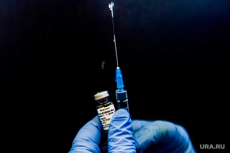 Гинцбург рассказал о трудностях с транспортировкой вакцины от Pfizer