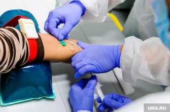 Челябинская область Гехт брифинг