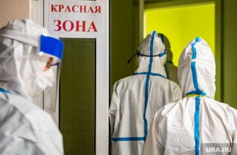 коронавирус статистика 20 ноября