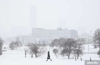 Владимир Семенов