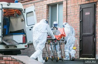 Челябинская область коронавирус статистика