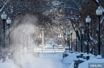 погода в Екатеринбурге морозы