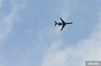 новый британский штамм перелеты