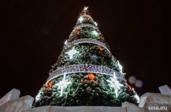 новости хмао усилят контроль за общественными местами новогодние праздники в югре