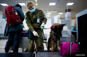 В Шереметьево обнаружили радиоактивную сумку