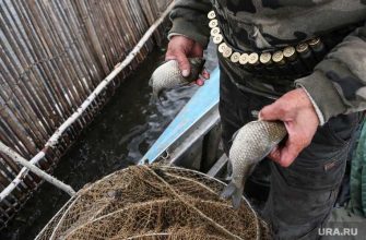 тюменская область рыбалка