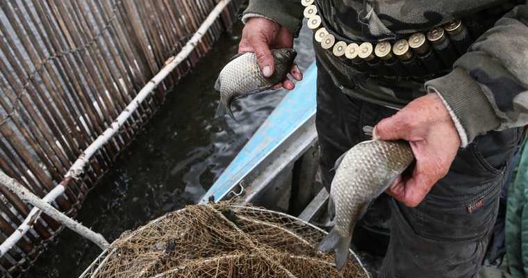 тюменская область рыбалка