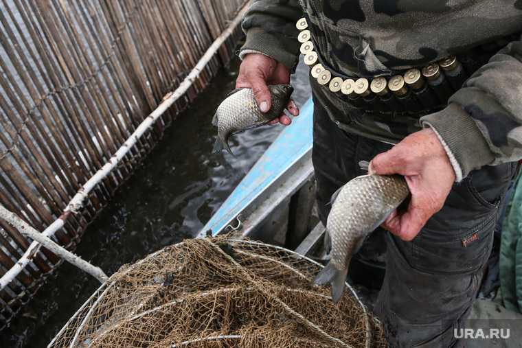 тюменская область рыбалка