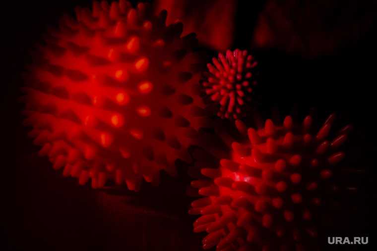британский коронавирус фото микроскоп