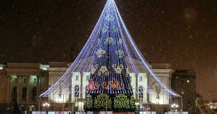 губернаторская елка