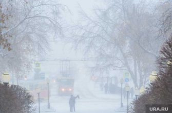 Свердловская область метель МЧС 16 и 17 января