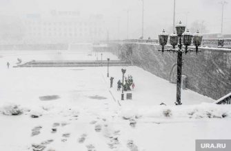 6 7 февраля погода Свердловская область снег