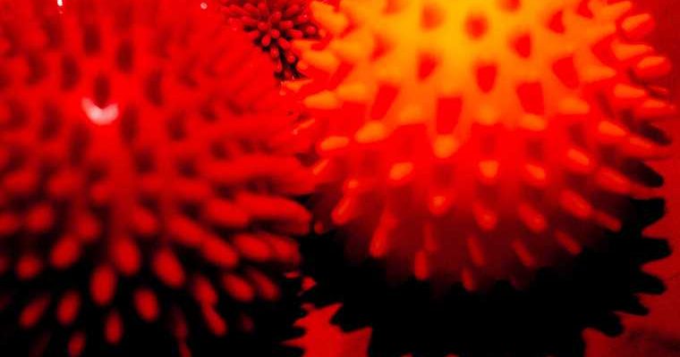 разные штаммы коронавирса