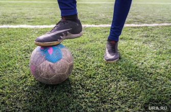 инстасамка