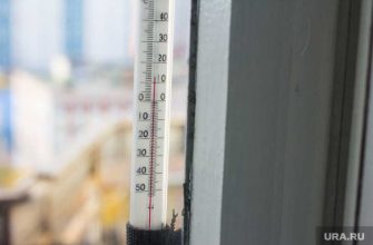 хронические болезни