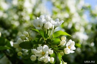 прогноз погоды Екатеринбург