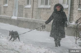 снежный шторм