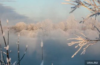 погода ЯНАО сводка 18 февраля прогнозы