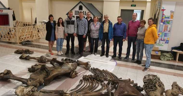 Челябинск ученые исследования мамонт возраст
