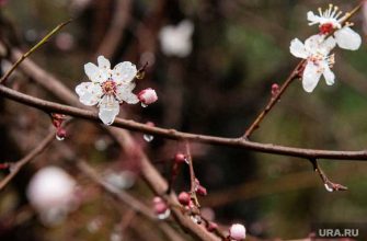 потепление Свердловская область 2021