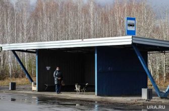 Рябковское кладбище Курган