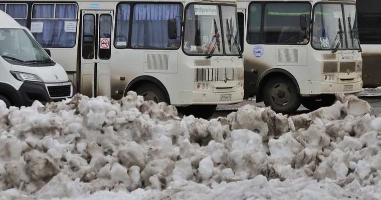 Курганские автобусы