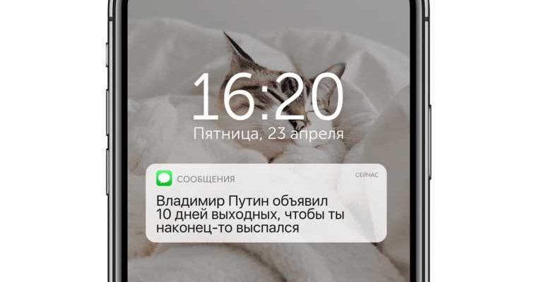 челябинские инсайды ура ру