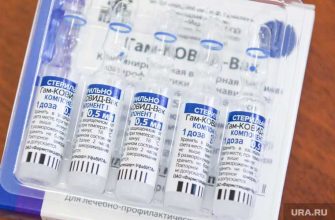 ввоз Спутника V в Бразилию