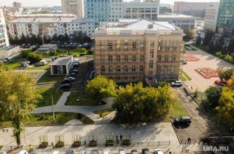 Челябинск Пашин Госдума госзакупки 44-ФЗ библиотека телевизоры