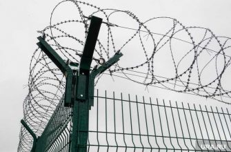 Челябинская область Гридин маньяк УДО колония Лифтер суд